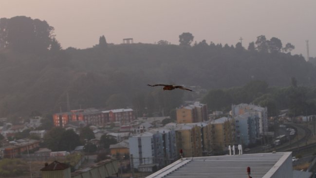 Descartan evacuación de penal El Manzano 2 en Concepción por incendio forestal