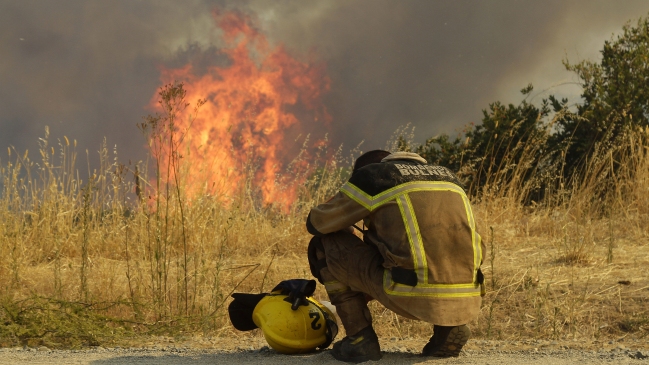 Conaf: 63 incendios forestales se encuentran activos en el país