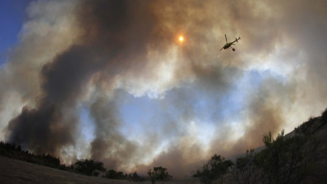 Balance de Conaf: 59 incendios forestales siguen en combate