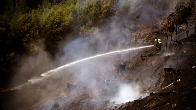 Essbio anunció medidas para ayudar a damnificados por incendios forestales
