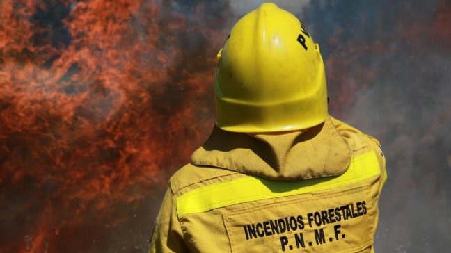Incendios forestales en Argentina afectan a más de 140 mil hectáreas