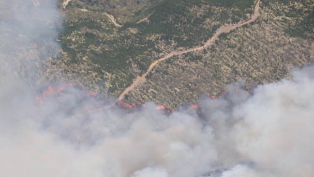Onemi: Los incendios forestales al 30 de enero