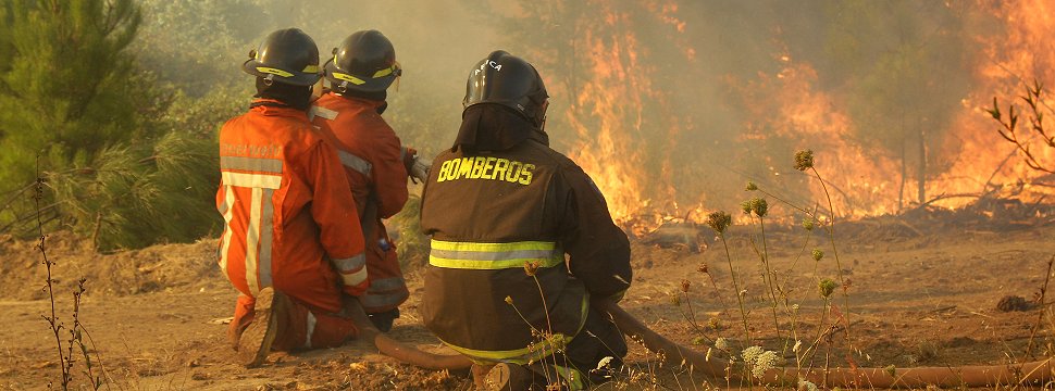 Colegio de Peritos: Es indudable que hay manos iniciando fuegos de forma intencional
