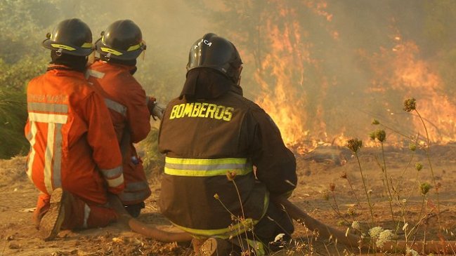 Colegio de Peritos: Es indudable que hay manos iniciando fuegos de forma intencional