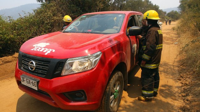 Conaf apoyará investigación tras detención de brigadista por incendio del 1 de enero