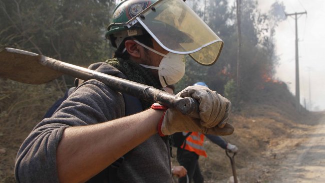 Incendios forestales: Minsal realiza catastro para resolver necesidades de afectados