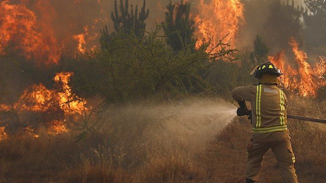 Aumenta a 65 el número de formalizados por incendios forestales
