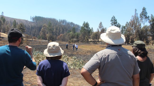El rol de los drones ante la reconstrucción tras los incendios forestales