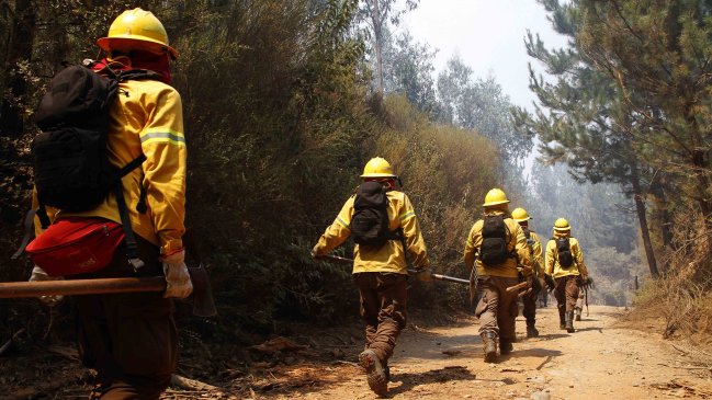 Nuevo balance Onemi: 51 incendios forestales continúan en combate