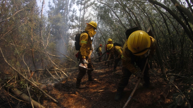 Onemi y Conaf: Casi todos los incendios forestales están controlados