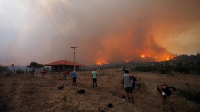 Incendios forestales: Dan por superada la emergencia en Portezuelo y Quirihue