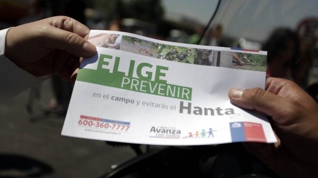 Minsal descartó desplazamientos de ratón colilargo a zonas pobladas tras incendios