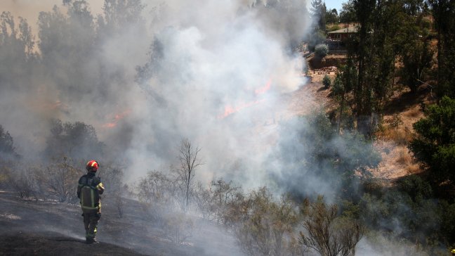 La reconstrucción de las zonas devastadas por los incendios forestales
