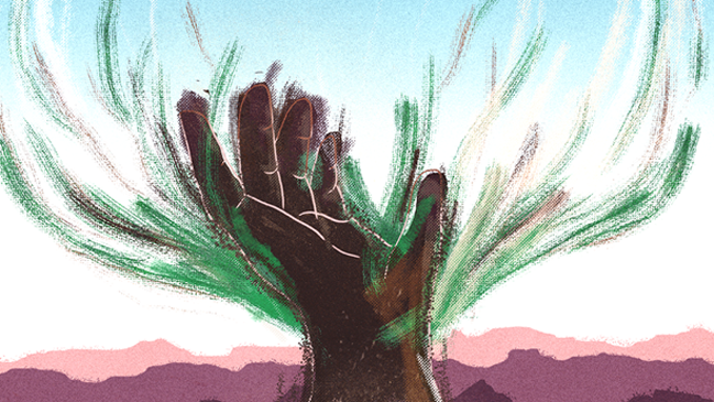 Artistas chilenos lanzarán disco a beneficio de damnificados por incendios