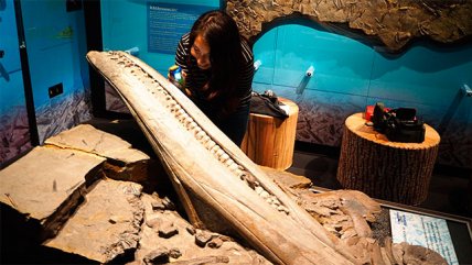   La Historia es Nuestra: La científica de Porvenir que estudia 