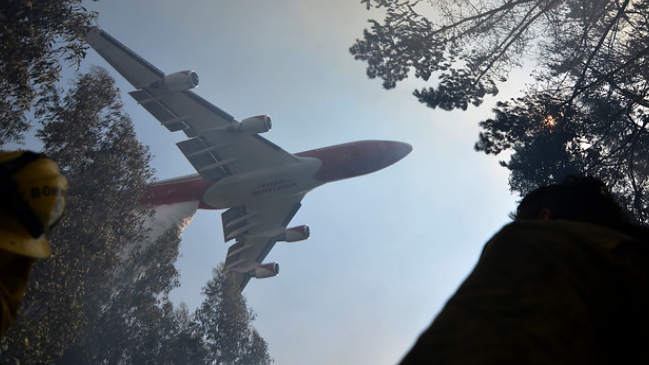 Lucy Ana Avilés tachó de 