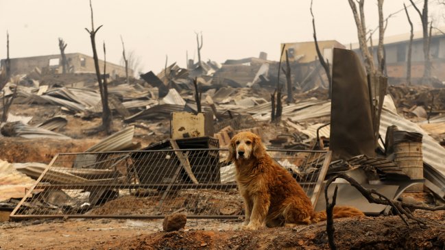 Alcalde de Constitución: 