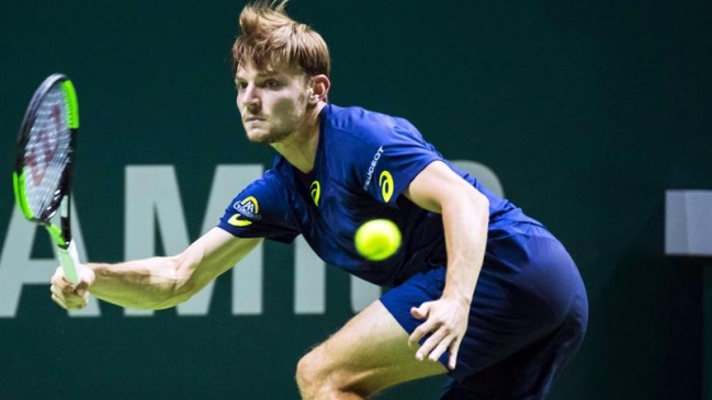 David Goffin y Jo-Wilfried Tsonga animarán la final del ATP de Rotterdam