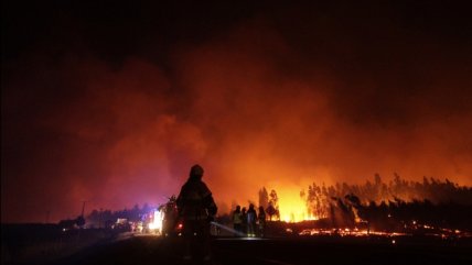   Experto UE por combate de incendios forestales: 