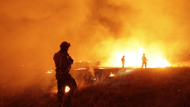 Cuestionan balance de Conaf y expertos internacionales sobre incendios forestales