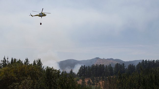 Un hombre fue detenido como presunto responsable de incendio forestal en Cartagena