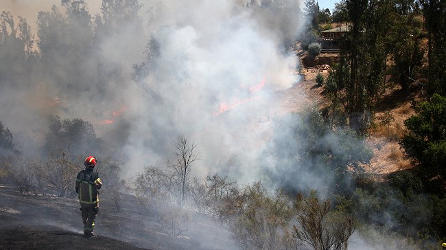 A un mes del megaincendio: Alcaldes y expertos piden cambios institucionales