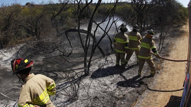 Onemi declaró Alerta Roja en Villa Alemana por incendio forestal