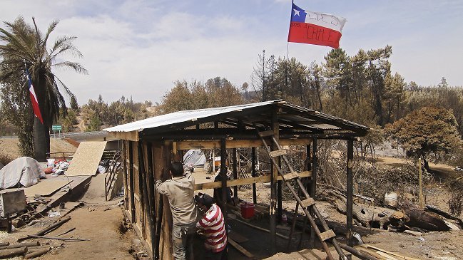 Decálogo de recomendaciones para la reconstrucción post incendios forestales