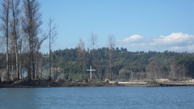 Alcalde y vecinos de Constitución piden cortar árboles secos de Isla Orrego