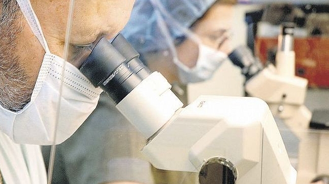 OMS divulgó lista de bacterias que requieren nuevos antibióticos