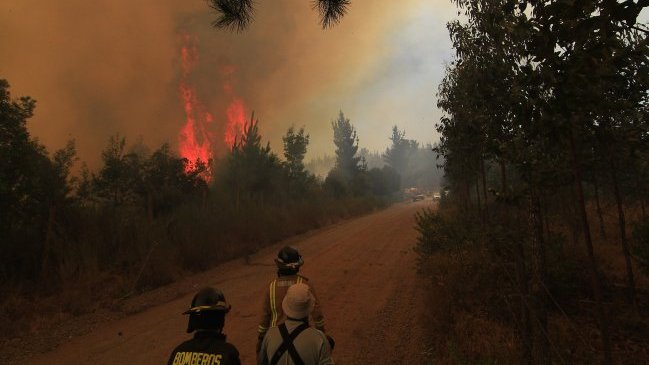 Alcaldes del Biobío interpusieron querella conjunta por incendios forestales