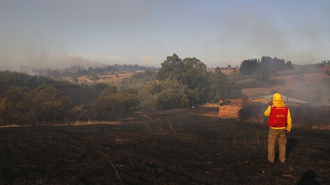 Gobierno concluyó la entrega de bonos para los damnificados por los incendios forestales