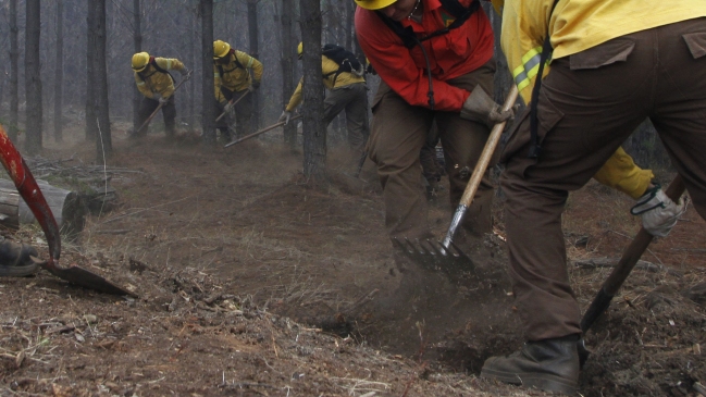 Santa Cruz: Evacúan viviendas de manera preventiva por incendio forestal