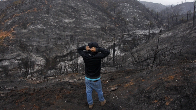 Incendio forestal en Ruta Las Palmas no está controlado: 450 hectáreas consumidas