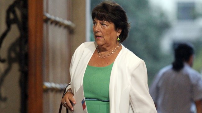 Delpiano: Simplificación de reforma a educación superior se debe a 