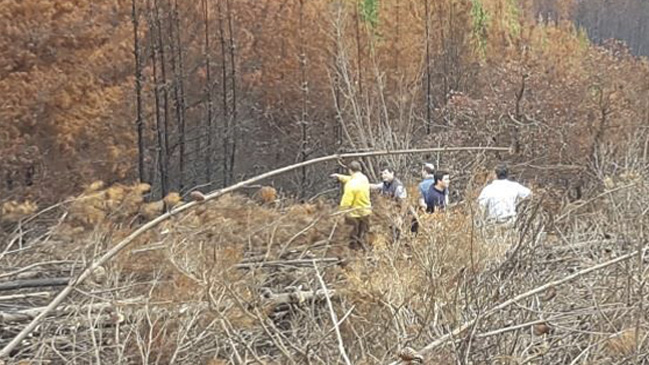 Hubo reconstitución de escena por muerte de tres brigadistas en Vichuquén