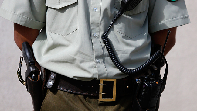 Dos carabineros fueron dados de baja tras encubrir fatal accidente de tránsito