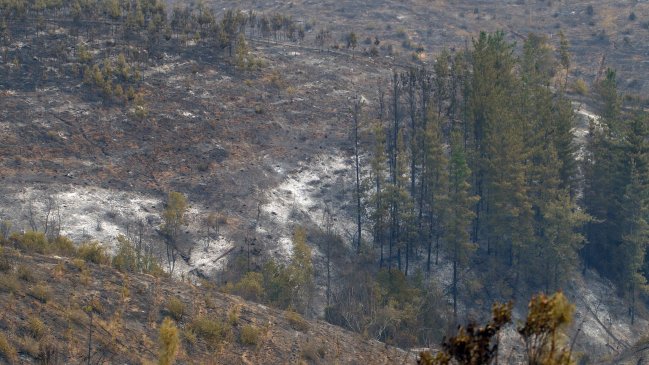 Formalizan a tres ejecutivos de CGE por eventual responsabilidad en incendios forestales