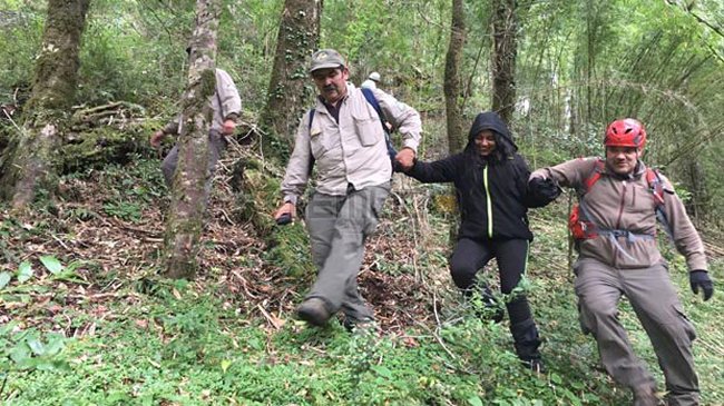Pucón: Joven extraviada en parque nacional sobrevivió al interior de una cueva