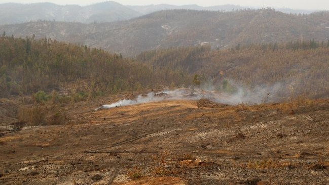 Incendios forestales: Dos ejecutivos de CGE quedaron en prisión preventiva