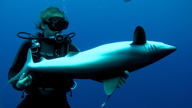 Documentales promueven la conservación en el 