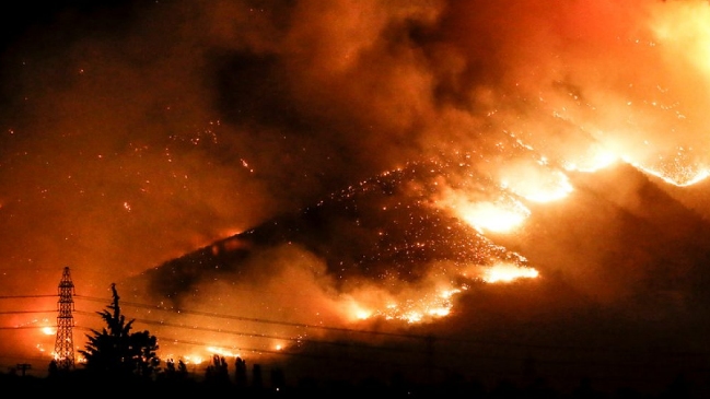 Balance final de Conaf sobre incendios forestales: 467.537 hectáreas quemadas