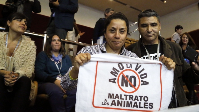 Congreso aprobó y despachó la ley de tenencia responsable de mascotas