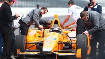   Fernando Alonso pulverizó a dos pájaros con su bólido 