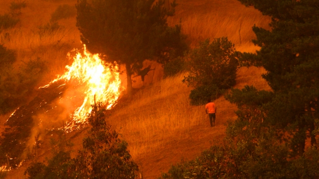 Sofofa solidarizó con ejecutivos de CGE formalizados por incendios forestales