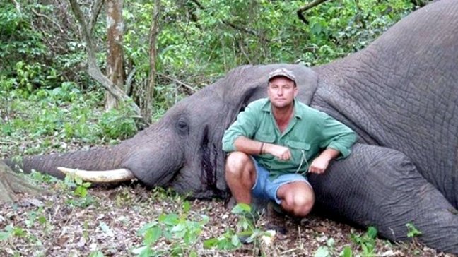 Cazador profesional murió tras ser aplastado por elefante en Sudáfrica
