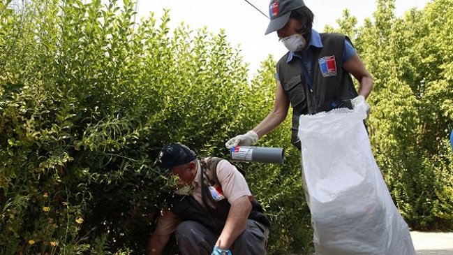 Los Lagos: Autoridades de Salud preocupadas por aumento de casos de Hanta