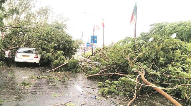 Al menos 23 muertos por tormenta eléctrica en norte de India