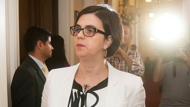 Gobierno: Sistema público posee los profesionales para diagnosticar inviabilidad fetal