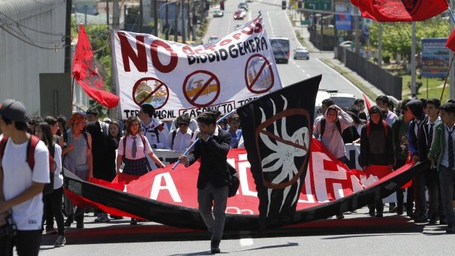 Tribunal Ambiental rechazó reclamación contra central termoeléctrica en Bulnes